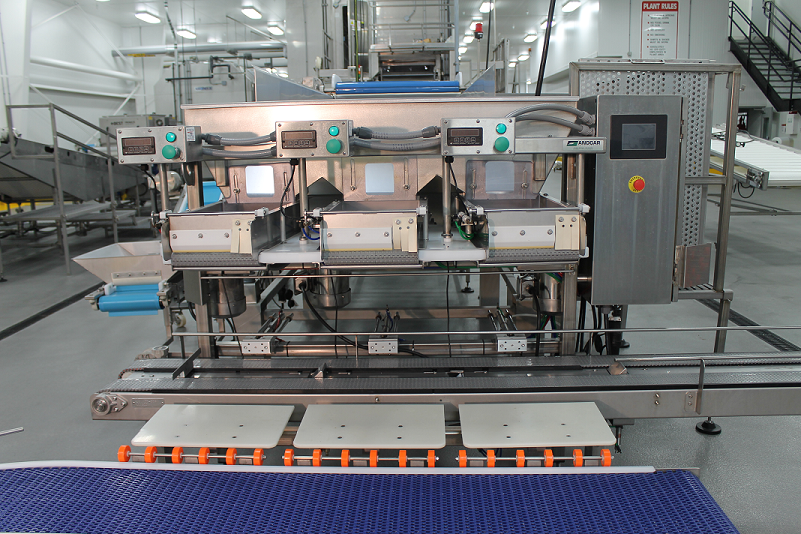 Andgar Food Processing Equipment 3 head box filler w. conveyor 